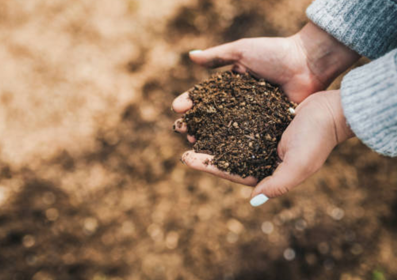 Foto: Pupuk Kompos (sumber: istock)