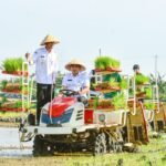 Demak Jadi Lumbung Pangan, Sumbang 8,89% Produksi Padi Jateng/demakkab