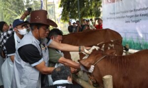 Bulan Bakti Peternakan dan Kesehatan Hewan 2025/jatengprov