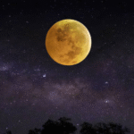 Foto: ilustrasi (sumber: istock) Foto: ilustrasi (sumber: istock)