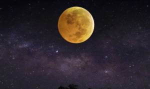 Foto: ilustrasi (sumber: istock) Foto: ilustrasi (sumber: istock)