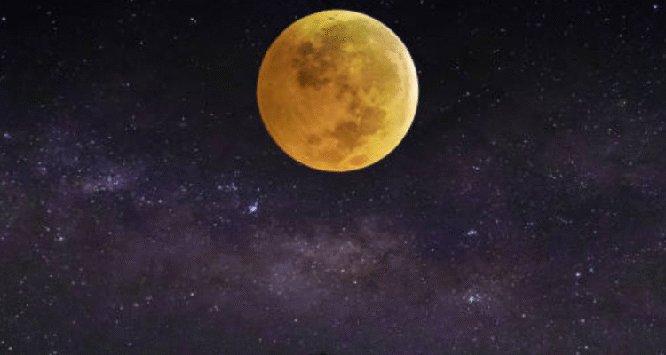 Foto: ilustrasi (sumber: istock) Foto: ilustrasi (sumber: istock)