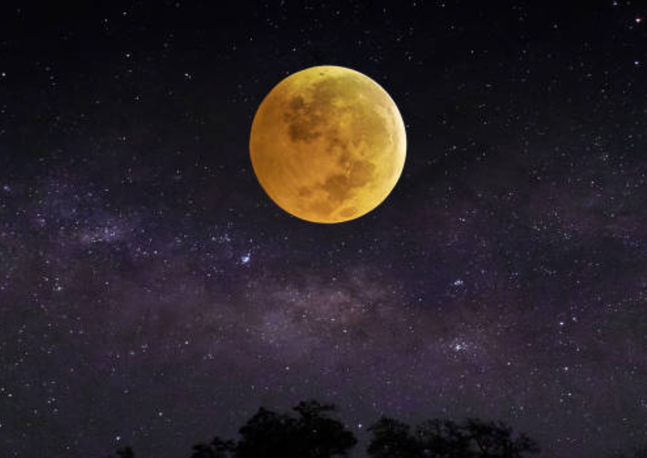 Foto: ilustrasi (sumber: istock) Foto: ilustrasi (sumber: istock)