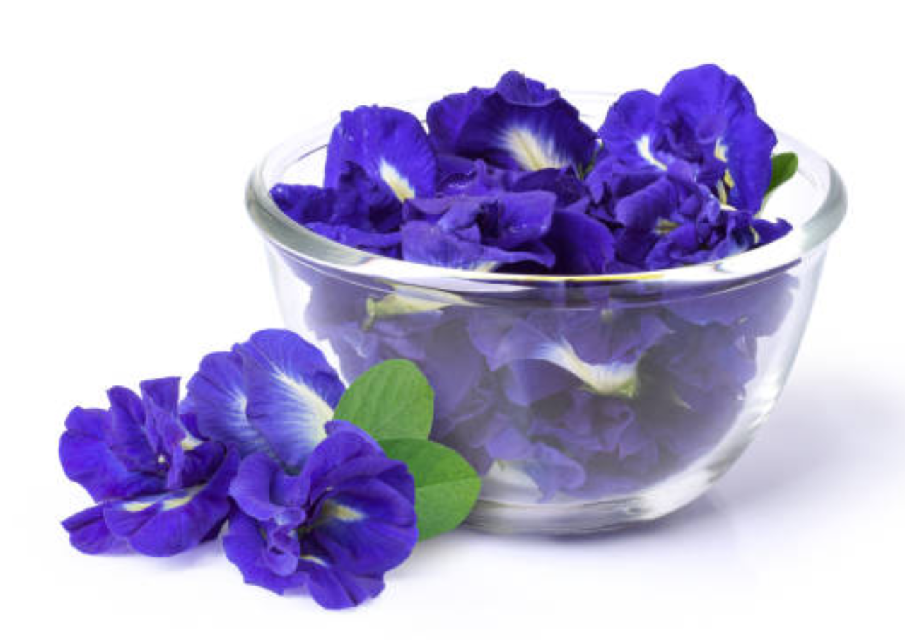 Manfaat Bunga Telang untuk Kesehatan Rambut hingga Kulit