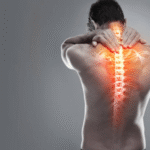 Penjelasan Mengenai Fungsi Tulang pada Tubuh Manusia