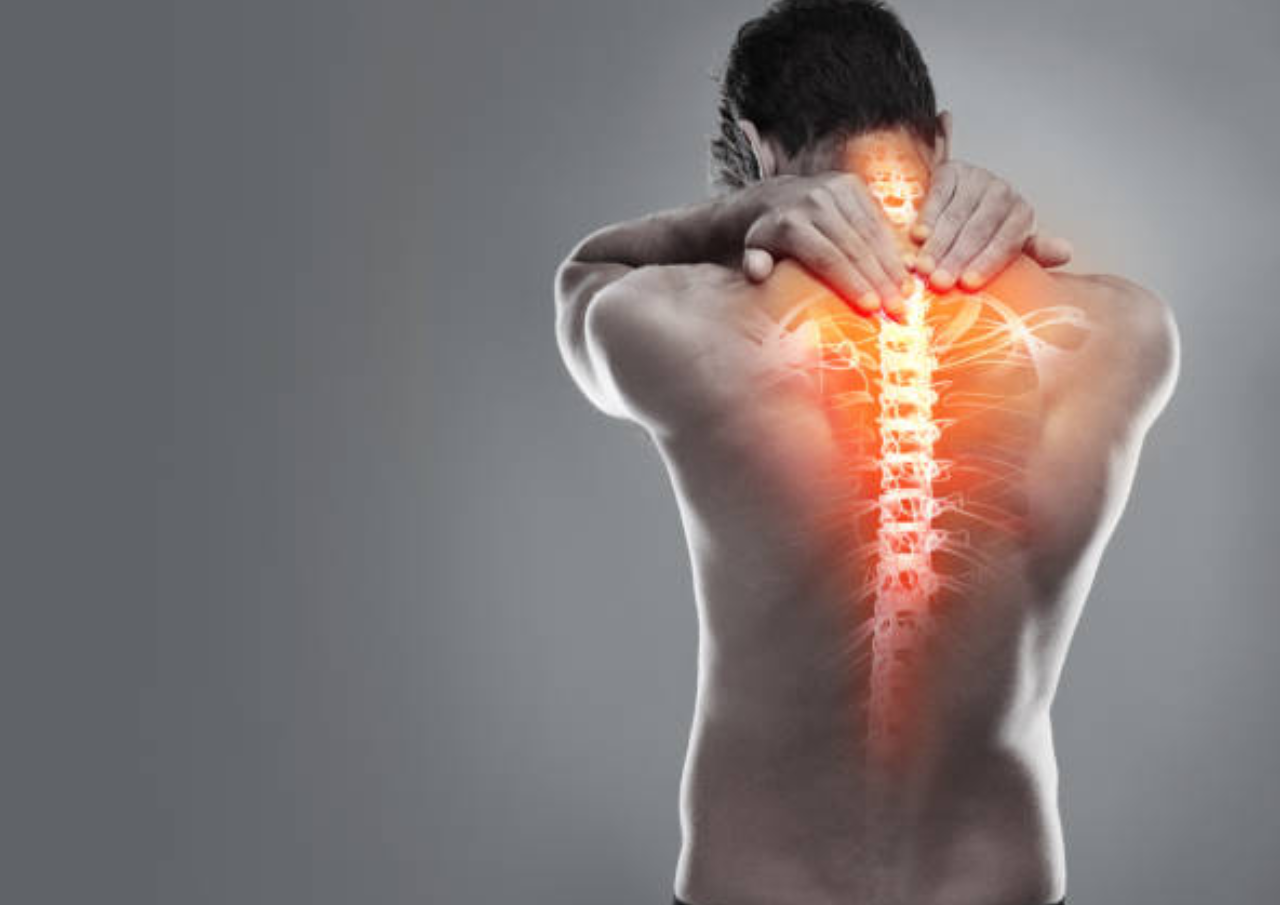 Penjelasan Mengenai Fungsi Tulang pada Tubuh Manusia