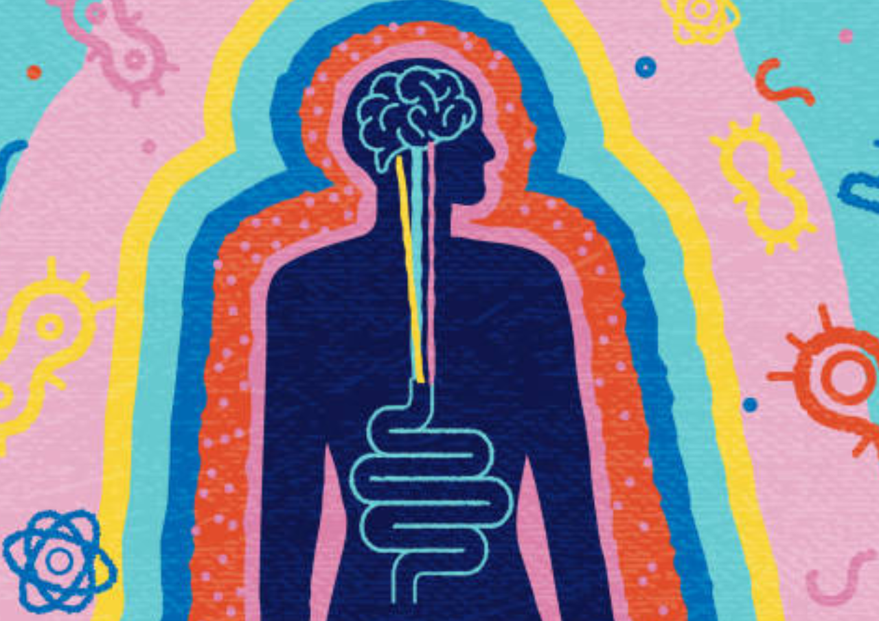 Rekomendasi Makanan yang Baik untuk Kesehatan Pencernaan