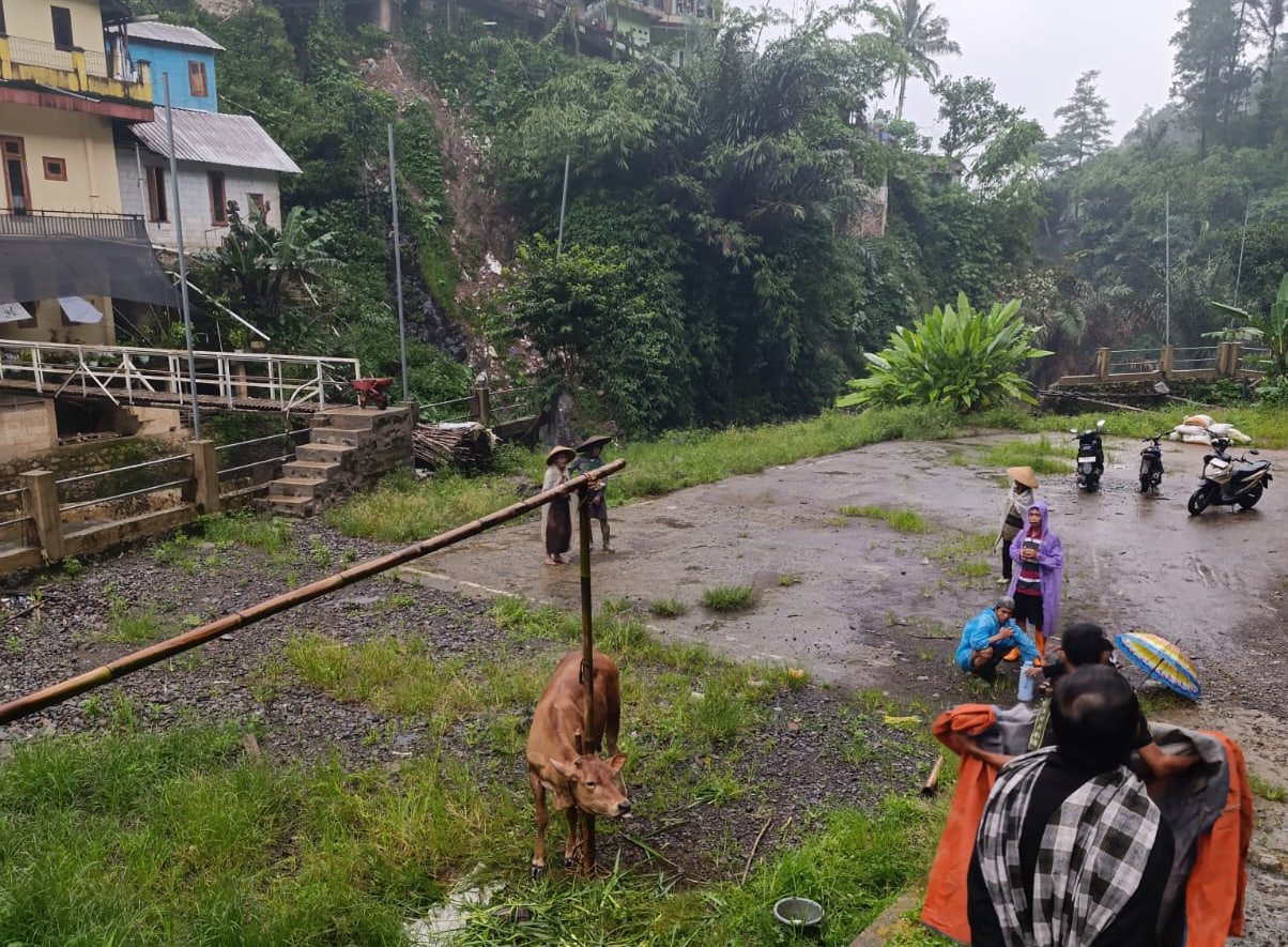 photo_2026-01-26_12-19-47