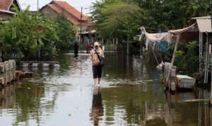 Banjir Berkepanjangan di Pekalongan, Alat Berat Dikerahkan untuk Normalisasi /jatengprov