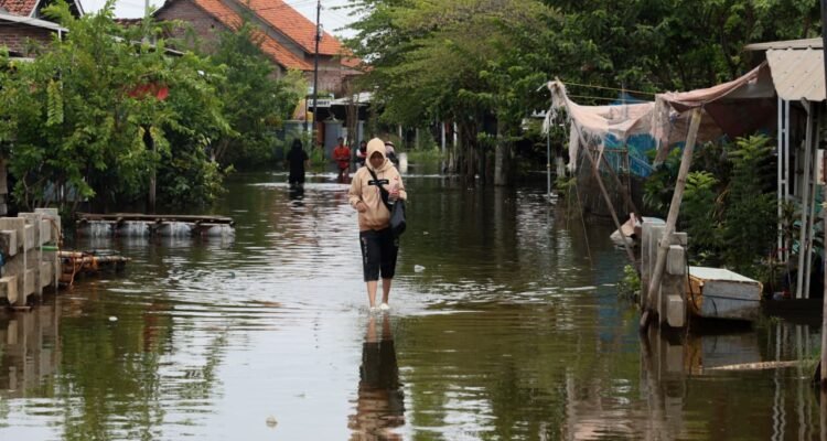 Banjir Berkepanjangan di Pekalongan, Alat Berat Dikerahkan untuk Normalisasi /jatengprov