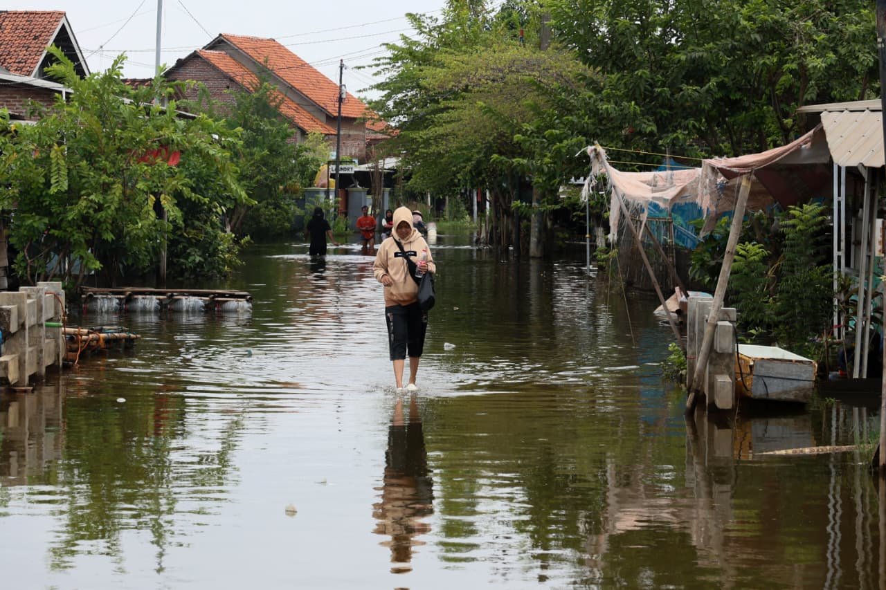 Banjir Berkepanjangan di Pekalongan, Alat Berat Dikerahkan untuk Normalisasi /jatengprov