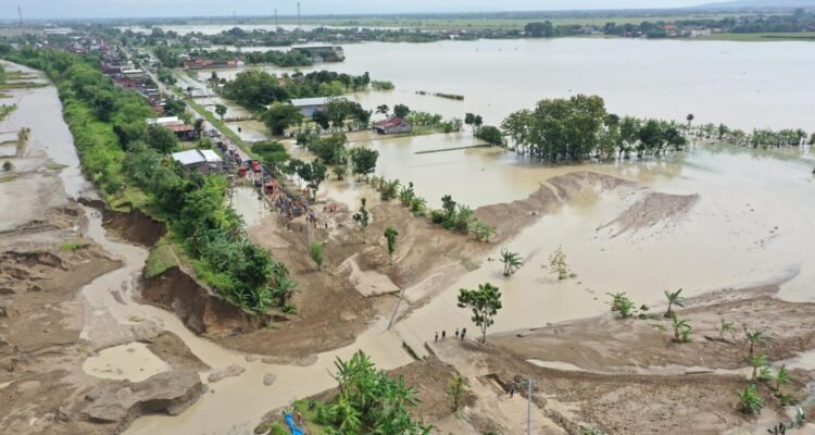 Banjir Rendam Sawah di Grobogan, Pemprov Siap Dampingi Petani Ajukan Klaim Asuransi/jatengprov