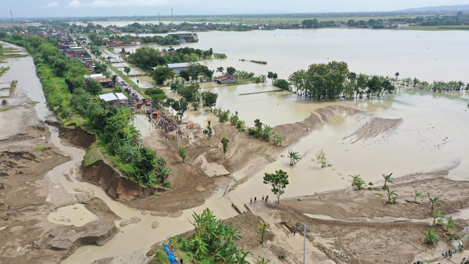 Banjir Rendam Sawah di Grobogan, Pemprov Siap Dampingi Petani Ajukan Klaim Asuransi/jatengprov Banjir Rendam Sawah di Grobogan, Pemprov Siap Dampingi Petani Ajukan Klaim Asuransi/jatengprov