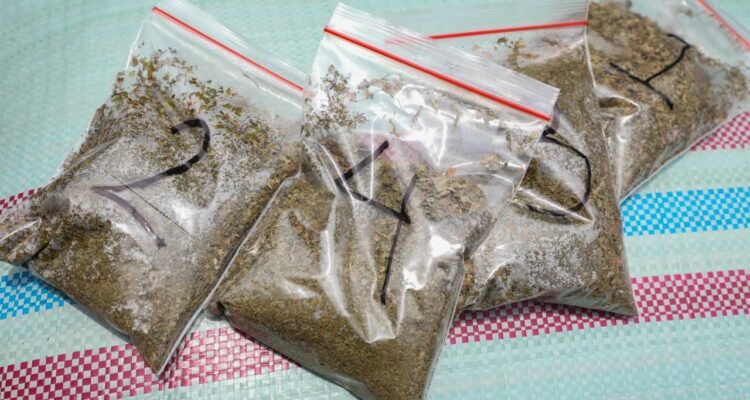 Kasus Penyelundupan Eskpor Kratom Terungkap/jatengprov Kasus Penyelundupan Eskpor Kratom Terungkap/jatengprov