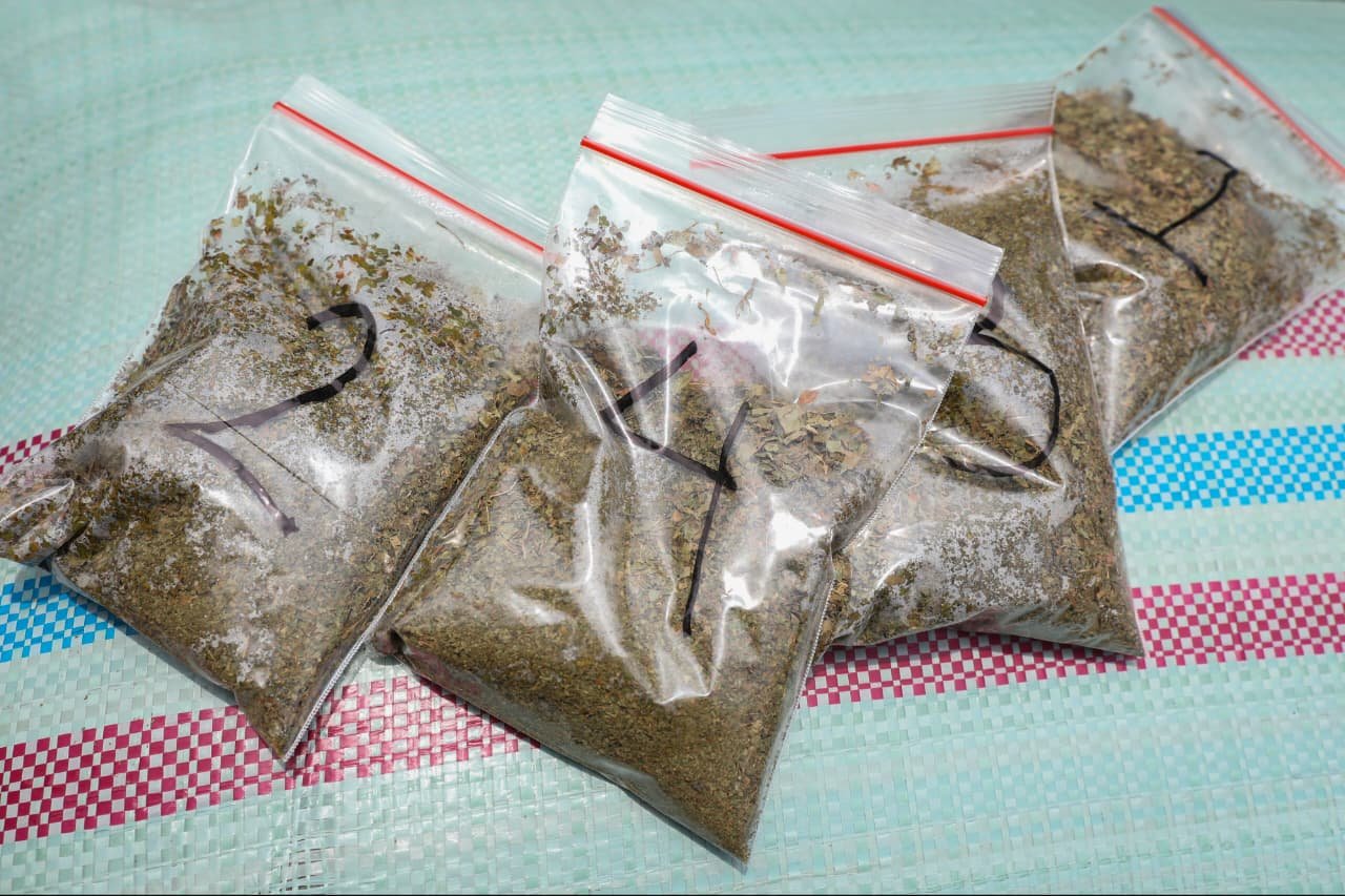 Kasus Penyelundupan Eskpor Kratom Terungkap/jatengprov Kasus Penyelundupan Eskpor Kratom Terungkap/jatengprov