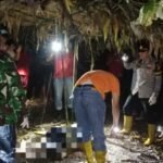 Pria Ditemukan Meninggal Dunia di Lahan Perhutani/Polres Tulungagung Pria Ditemukan Meninggal Dunia di Lahan Perhutani/Polres Tulungagung
