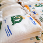 Beras Bulog Bersama Bulog, Bapanas Tegaskan Bantuan Pangan Tidak Ditunda