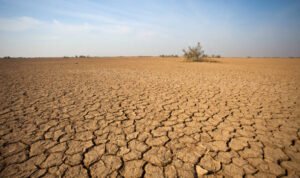 Ilustrasi kemarau/istock