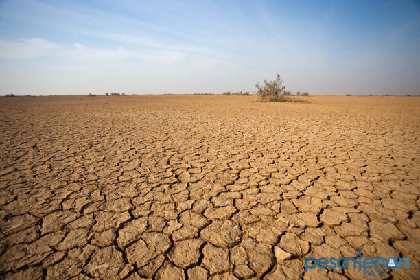 Ilustrasi kemarau/istock