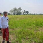 Petani di Grobogan Keluhkan Lumpur Pasca Banjir, Belum Bisa Tanam/Jatengprov