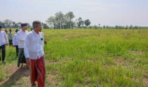 Petani di Grobogan Keluhkan Lumpur Pasca Banjir, Belum Bisa Tanam/Jatengprov