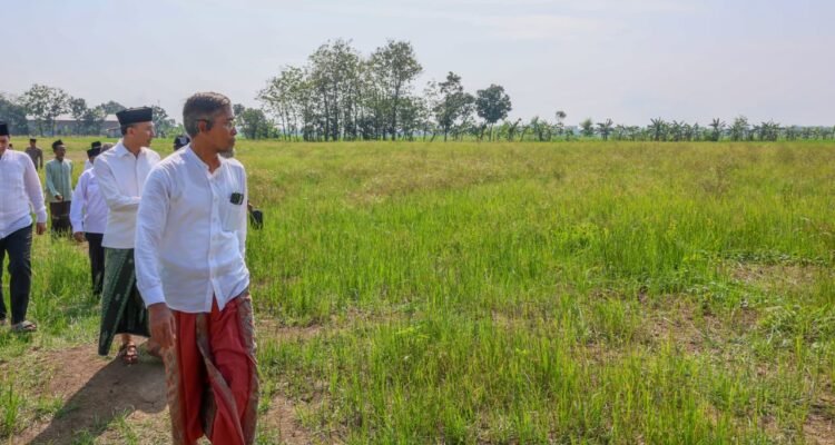 Petani di Grobogan Keluhkan Lumpur Pasca Banjir, Belum Bisa Tanam/Jatengprov