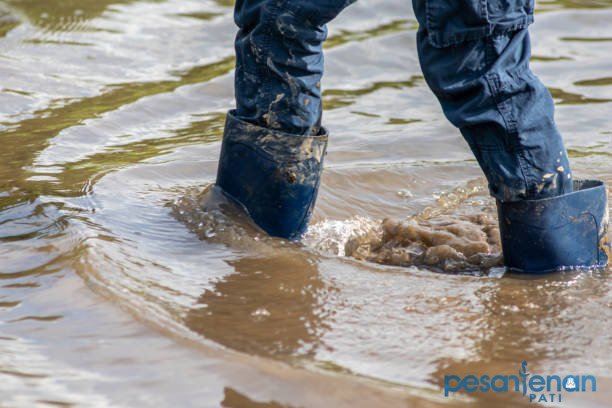 Ilustrasi banjir/istock