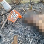 TKP petani di Wedarijaksa Terbakar/humas Polresta Pati