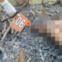 TKP petani di Wedarijaksa Terbakar/humas Polresta Pati