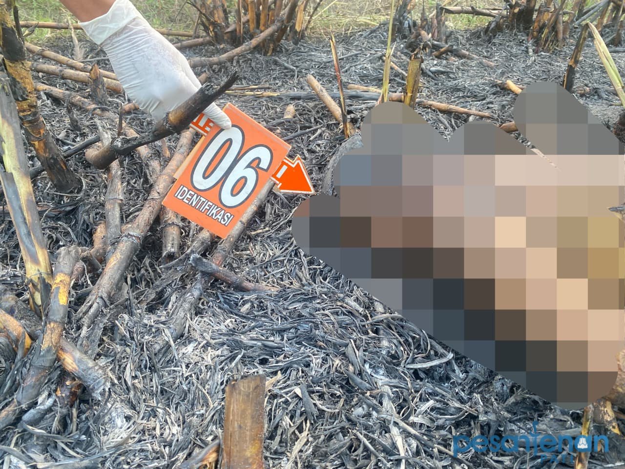 TKP petani di Wedarijaksa Terbakar/humas Polresta Pati