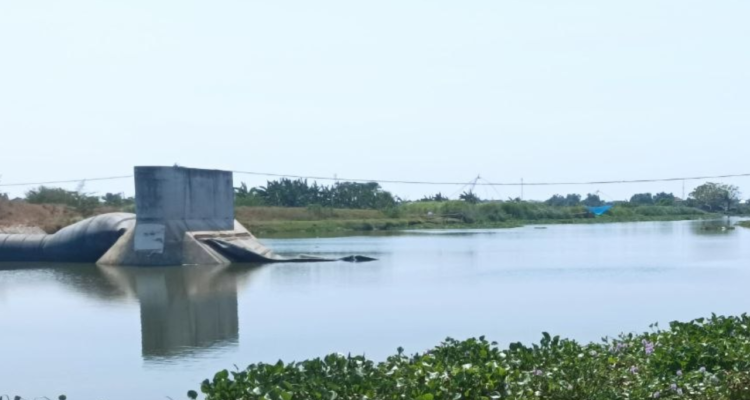 Bendung karet di Desa Bungasrejo, Kecamatan Jakenan Pati Bendung Karet Bocor: Ribuan Hektare Lahan Pertanian di Sungai Juwana Pati Terancam Kekeringan