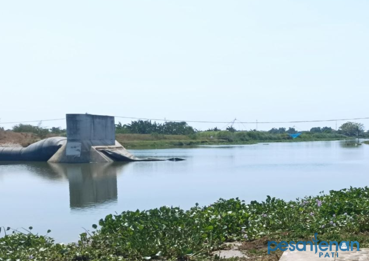 Bendung karet di Desa Bungasrejo, Kecamatan Jakenan Pati Bendung Karet Bocor: Ribuan Hektare Lahan Pertanian di Sungai Juwana Pati Terancam Kekeringan