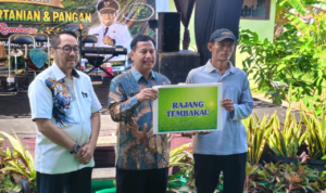 Populasi Peternakan Sapi di Rembang Capai 100 Ribu Ekor Gunakan Teknik Reproduksi Modern, Populasi Peternakan Sapi di Rembang Capai 100 Ribu Ekor