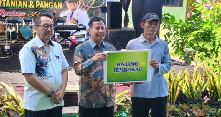 Populasi Peternakan Sapi di Rembang Capai 100 Ribu Ekor Gunakan Teknik Reproduksi Modern, Populasi Peternakan Sapi di Rembang Capai 100 Ribu Ekor