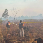Kebakaran 4 Hektare Hutan dan Lahan di Kubu Raya, Polisi Dalami Penyebabnya/humas polri Kebakaran 4 Hektare Hutan dan Lahan di Kubu Raya, Polisi Dalami Penyebabnya/humas polri