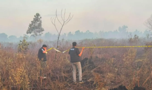 Kebakaran 4 Hektare Hutan dan Lahan di Kubu Raya, Polisi Dalami Penyebabnya/humas polri Kebakaran 4 Hektare Hutan dan Lahan di Kubu Raya, Polisi Dalami Penyebabnya/humas polri
