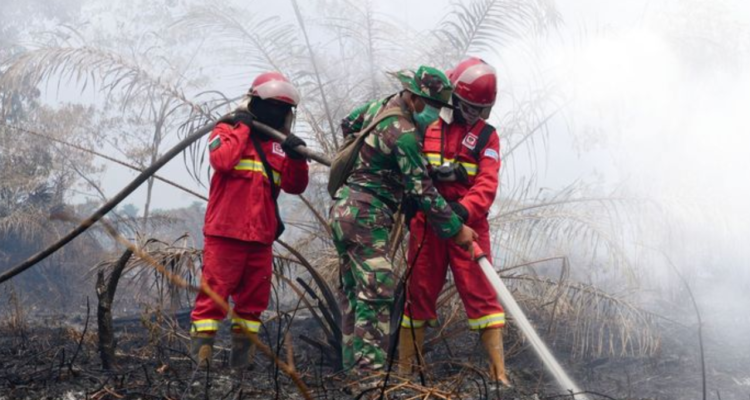 Kemenhut: 946 Wilayah Secara Nasional Masih Terdeteksi Titik Panas Akibat Fenomena Karhutla Kemenhut: 946 Wilayah Secara Nasional Masih Terdeteksi Titik Panas Akibat Fenomena Karhutla