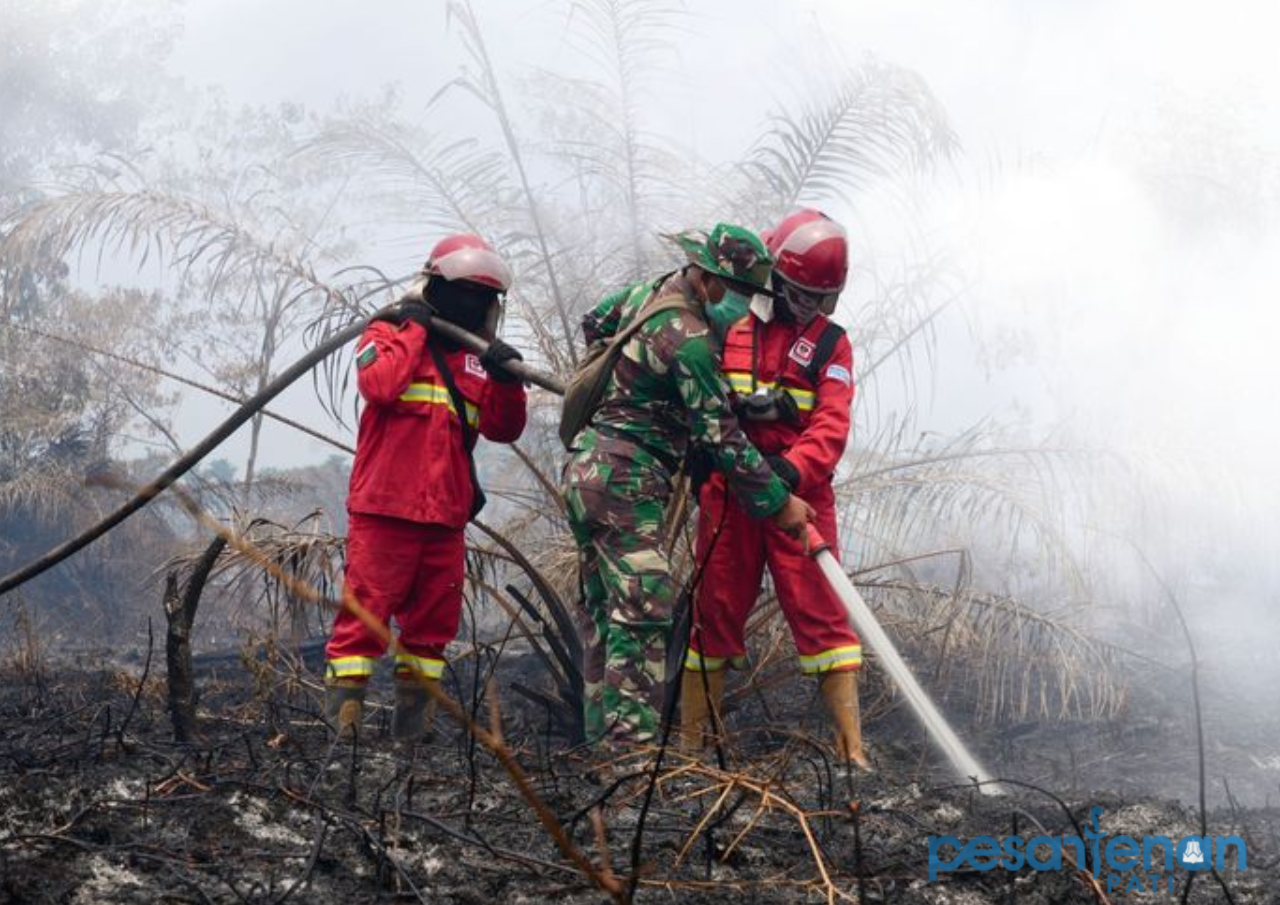 Kemenhut: 946 Wilayah Secara Nasional Masih Terdeteksi Titik Panas Akibat Fenomena Karhutla Kemenhut: 946 Wilayah Secara Nasional Masih Terdeteksi Titik Panas Akibat Fenomena Karhutla