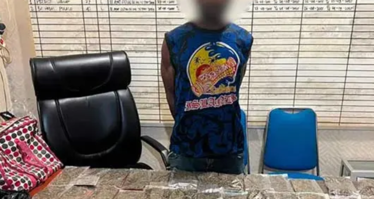 Polisi Tangkap WNA yang Bawa Ganja ke Jayapura Selatan/humas polri Polisi Tangkap WNA yang Bawa Ganja ke Jayapura Selatan/humas polri