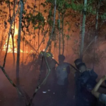 Kebakaran Hutan dan Lahan Terjadi di Tiga Titik Wilayah Bulungan/humas polri