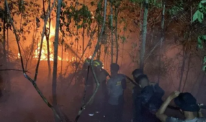 Kebakaran Hutan dan Lahan Terjadi di Tiga Titik Wilayah Bulungan/humas polri