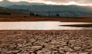 BMKG: Bantul DIY Jadi Daerah dengan Hari Tanpa Hujan Terpanjang di Indonesia Selama El Nino 2026