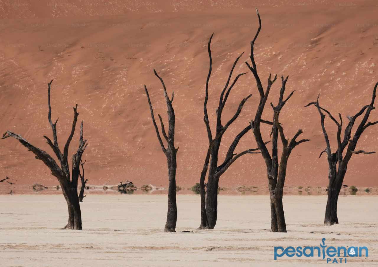 Pemerintah Diminta Antisipasi Dampak El Nino dan La Nina di Tahun Depan Pemerintah Diminta Antisipasi Dampak El Nino dan La Nina di Tahun Depan