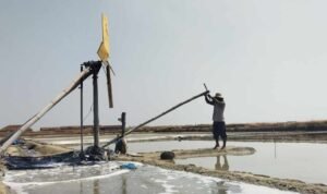 5 Kecamatan di Pati Hasilkan Garam 181.924 Ton Sepanjang Musim Kemarau 2026