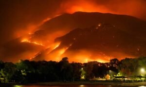 Karhutla Kembali Landa Kawasan Gunung Bromo, 3 Korban Dinyatakan Tewas Karhutla Kembali Landa Kawasan Gunung Bromo, 3 Korban Dinyatakan Tewas