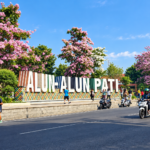 Indahnya Bunga Tabebuya Bermekaran di Alun-alun Pati Bak Negeri Sakura/infoseputarpati