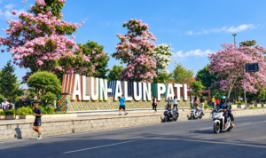 Indahnya Bunga Tabebuya Bermekaran di Alun-alun Pati Bak Negeri Sakura/infoseputarpati Indahnya Bunga Tabebuya Bermekaran di Alun-alun Pati Bak Negeri Sakura/infoseputarpati